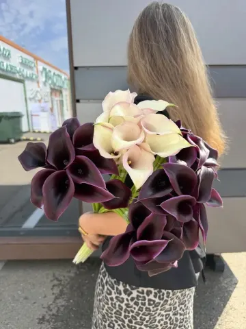 Калла, шт