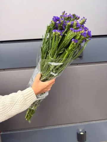 Статица цвета в ассорт, пачка