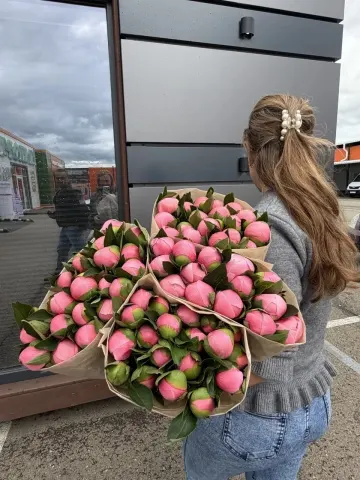 Пион Сара Бернар, шт
