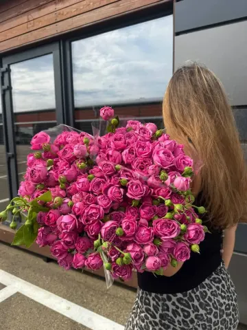 Роза кустовая пион Мисти баблс 70 см (Р)