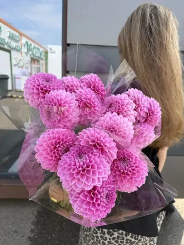 Георгин в ассорт, шт