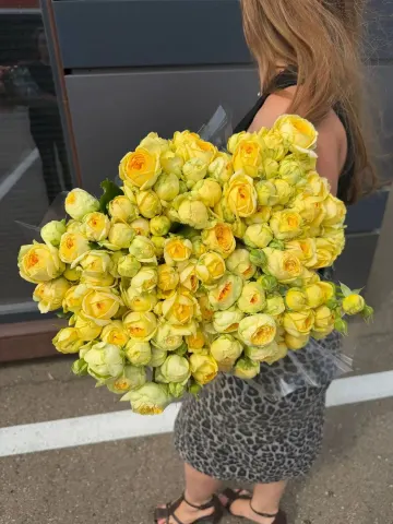 Роза кустовая пион С 14 70 см (Р)