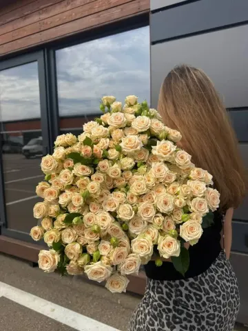 Роза кустовая Таня 80 см (Р)